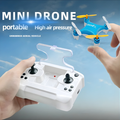 World's Smallest Drone